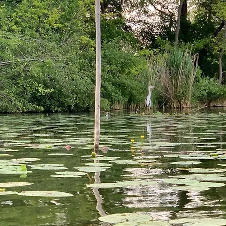 Apartmán Am Netzener *