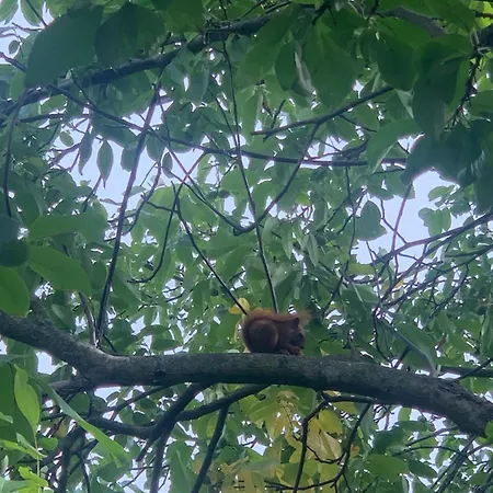 아파트 Am Netzener