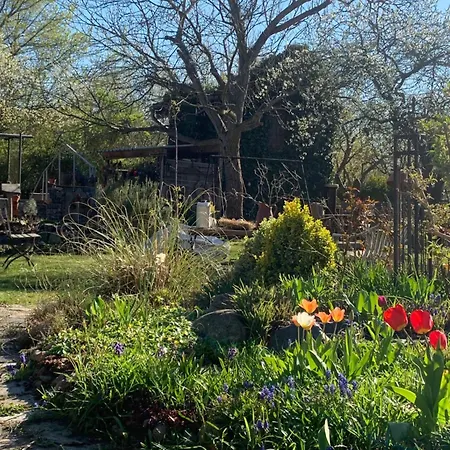 Am Netzener Apartmán Lehnin