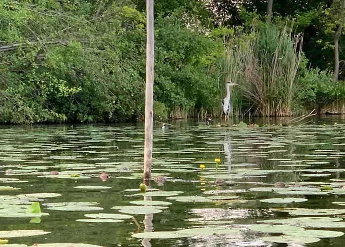 Apartamento Am Netzener *
