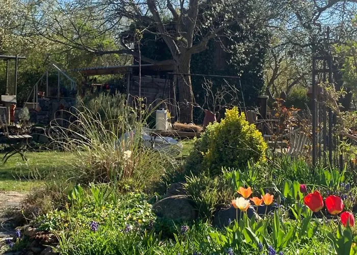 Am Netzener شقة ليهنين